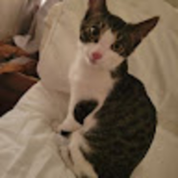 Meet your Posher, Maliatheboss - Picture 1 of 1